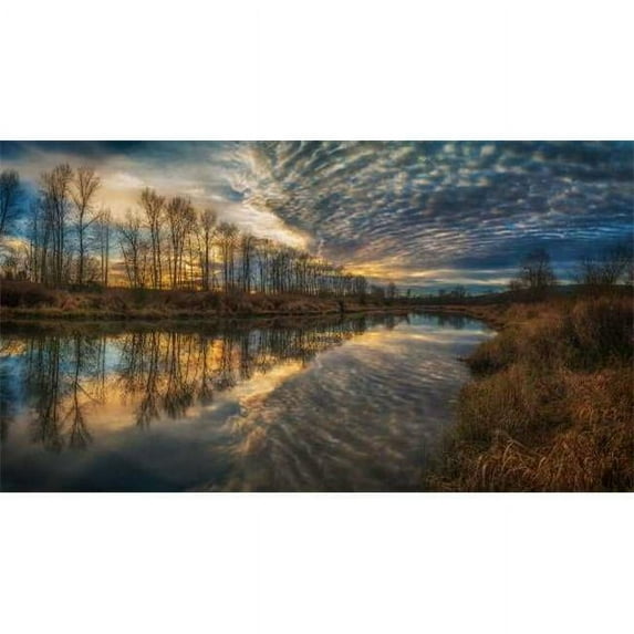 Tangletown Fine Art 'Angel Wings' Photographic Print on Wrapped Canvas
