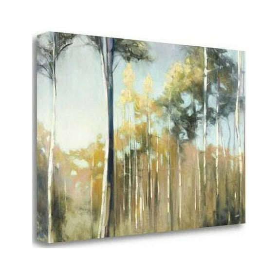 Tangletown Fine Art 'Aspen Reverie' Print on Canvas
