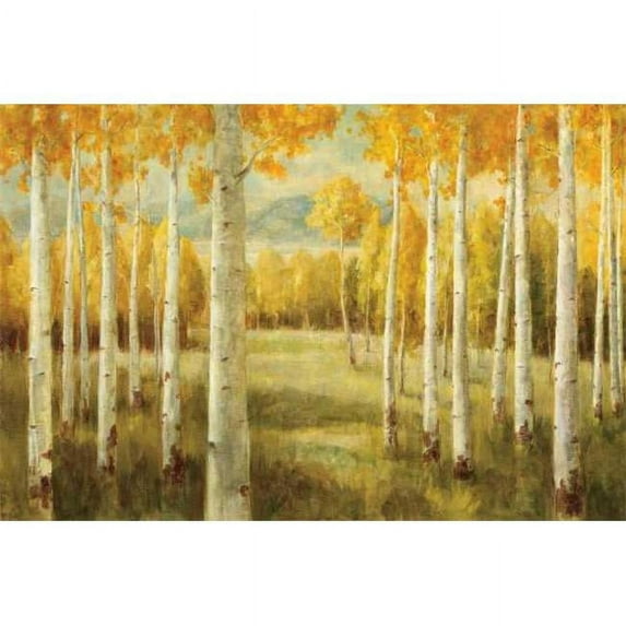 Tangletown Fine Art Aspens by Danhui Nai Poster Frame - 23 x 34 x 1.5 in.