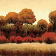 thumbnail image 1 of Tangletown Fine Art Autumn Forest II By James Wiens,  Gallery Wrap Canvas 20 x 20, 1 of 3