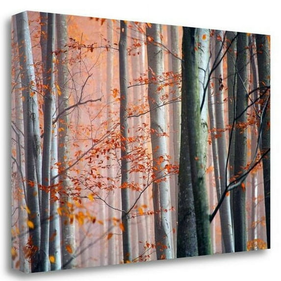 Tangletown Fine Art 'Autumn Woods' Graphic Art Print on Wrapped Canvas