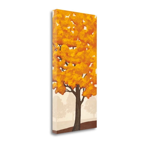 Tangletown Fine Art Autumns Glory II By Jocelyn Anderson, Gallery Wrap Canvas 20 x 39