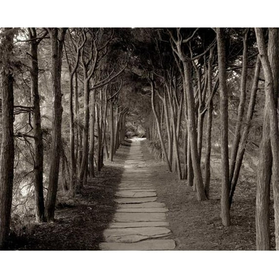 Tangletown Fine Art Banc De Jardin - 75 By Alan Blaustein, Gallery Wrap Canvas