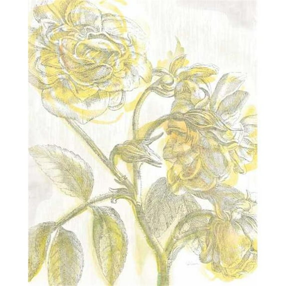Tangletown Fine Art Belle Fleur Yellow I Crop by Sue Schlabach Poster Frame - 32 x 26 x 1.5 in.