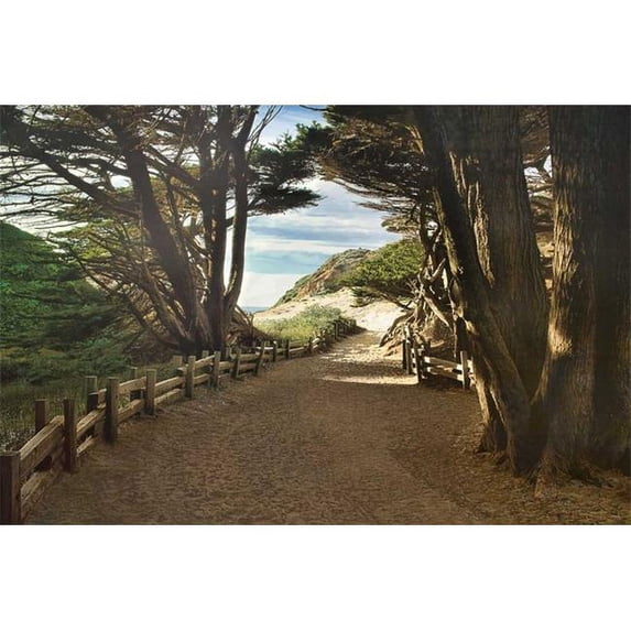 Tangletown Fine Art Big Sur by Michael Cahill Poster Frame - 26 x 39 x 1.5 in.
