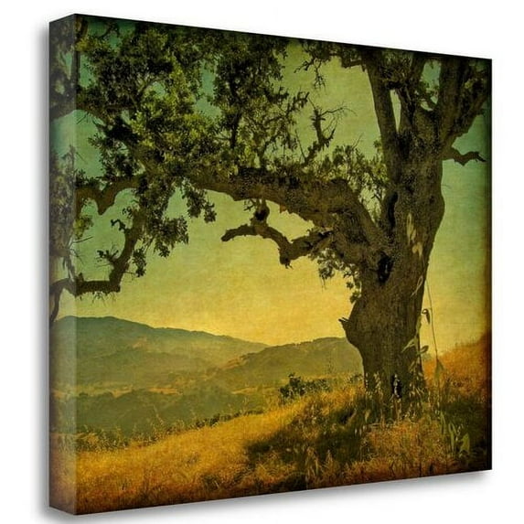 Tangletown Fine Art 'Blue Oak Hilltop' Photographic Print on Wrapped Canvas