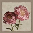 thumbnail image 1 of Tangletown Fine Art Botanical Peony By Janel Pahl,  Gallery Wrap Canvas 35" x 35", 1 of 2