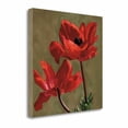 thumbnail image 1 of Tangletown Fine Art 'Brilliance I' Print on Wrapped Canvas, 1 of 2
