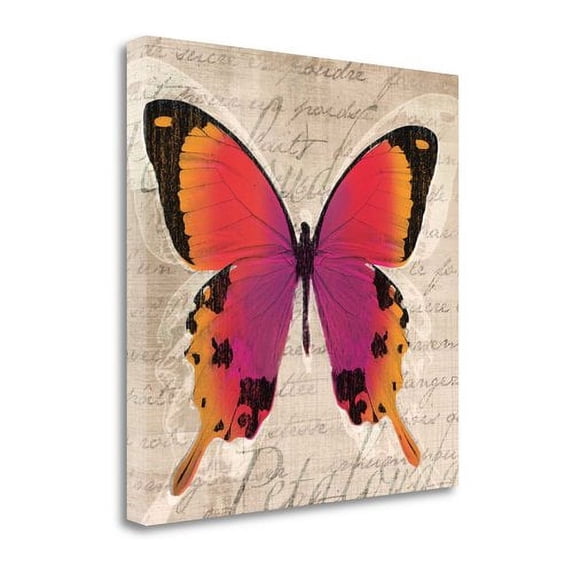 "Butterflies III" By Tandi Venter, Fine Art Giclee Print on Gallery Wrap Canvas, Ready to Hang