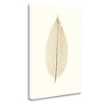 thumbnail image 1 of "Chinese Magnolia" By Alan Blaustein, Fine Art Giclee Print on Gallery Wrap Canvas, Ready to Hang, 1 of 2