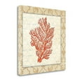 thumbnail image 1 of "Coral Beauty Light I" By Emily Adams, Fine Art Giclee Print on Gallery Wrap Canvas, Ready to Hang, 1 of 2