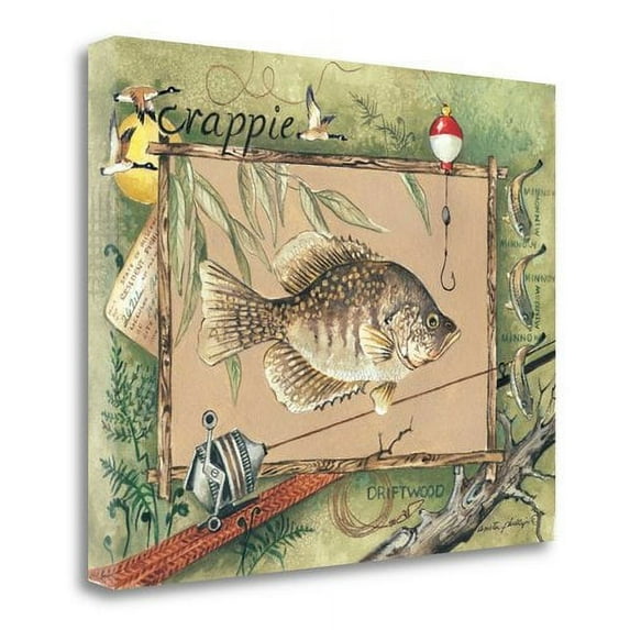 Tangletown Fine Art 'Crappie' Graphic Art Print on Wrapped Canvas