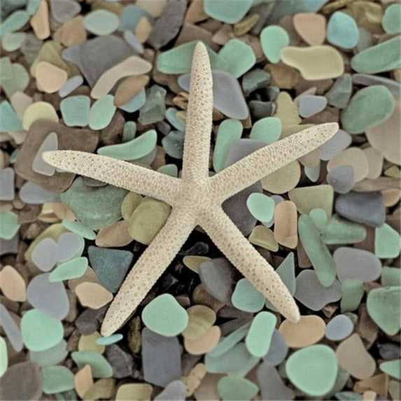 Tangletown Fine Art Crystal Harbor - 10 by Alan Blaustein Poster Frame - 25 x 25 x 1.5 in.