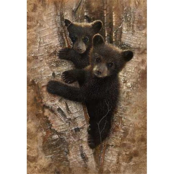 Curious Cubs By Colin Bogle, 24" x 34" Fine Art Giclee Print on Gallery Wrap Canvas, Ready to Hang