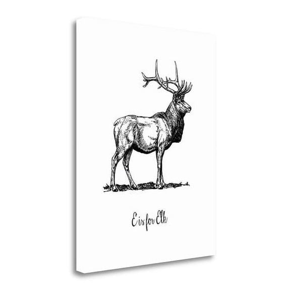 Tangletown Fine Art E Is For Elk By Tara Moss, Gallery Wrap Canvas