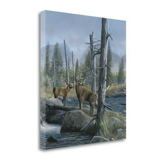 Tangletown Fine Art 'Elk Call' Print on Wrapped Canvas