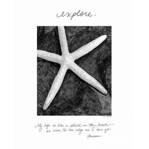 Tangletown Fine Art Explore by Debra Van Swearingen Poster Frame - 31 x 25 x 1.5 in.