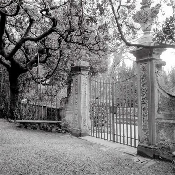 Tangletown Fine Art Firenze - 1 by Alan Blaustein Poster Frame - 25 x 25 x 1.5 in.