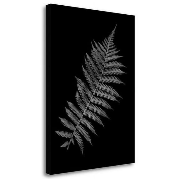 "Floral B - W - 18" By Alan Blaustein, Fine Art Giclee Print on Gallery Wrap Canvas, Ready to Hang