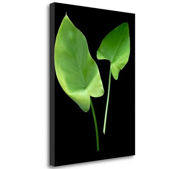 Tangletown Fine Art 'Floral Color - 24' Graphic Art Print on Wrapped Canvas