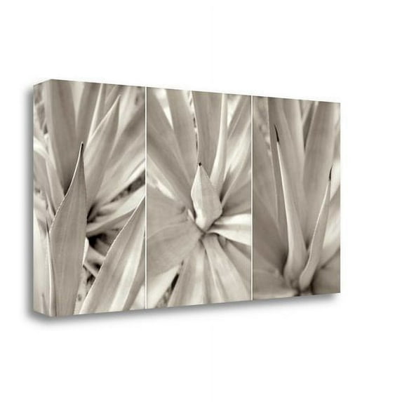 Tangletown Fine Art Floral Panel - 4 By Alan Blaustein, Gallery Wrap Canvas
