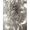 thumbnail image 1 of Tangletown Fine Art Florison - 18 by Alan Blaustein Poster Frame - 45 x 35 x 1.5 in., 1 of 2