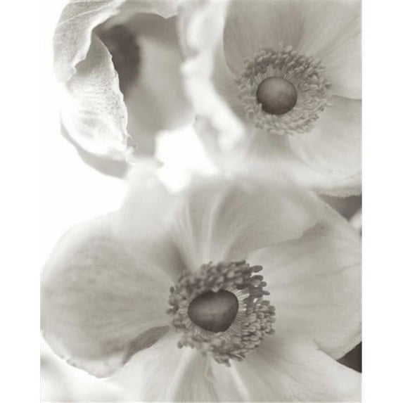 Tangletown Fine Art 'Florison - 20' Graphic Art Print on Wrapped Canvas