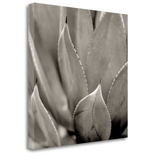 Tangletown Fine Art 'Florison - 49' Graphic Art Print on Wrapped Canvas
