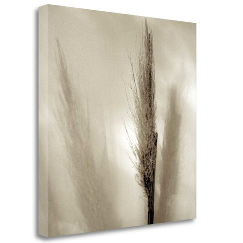 Tangletown Fine Art Florison - 53 By Alan Blaustein, Gallery Wrap Canvas 35 x 35