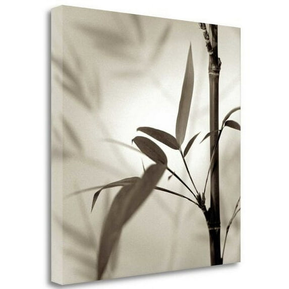 Tangletown Fine Art Florison - 64 by Alan Blaustein Poster Frame - 35 x 35 x 1.5 in.