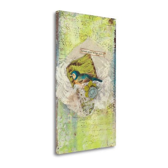 Fly By Cassandra Cushman, 17" x 29" Fine Art Giclee Print on Gallery Wrap Canvas, Ready to Hang