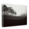 thumbnail image 1 of Tangletown Fine Art Fog Tree Study III by Jamie Cook Poster Frame - 15 x 24 x 1.5 in., 1 of 2