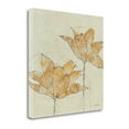 thumbnail image 1 of Tangletown Fine Art 'Fragile II' by Avery Tillmon Painting Print on Wrapped Canvas, 1 of 2
