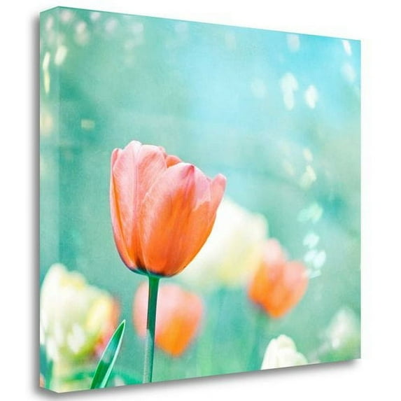 Tangletown Fine Art Garden Of Dreams By Carolyn Cochrane, Gallery Wrap Canvas