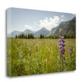 thumbnail image 1 of Tangletown Fine Art 'Glacier National Park' Photographic Print on Canvas, 1 of 2