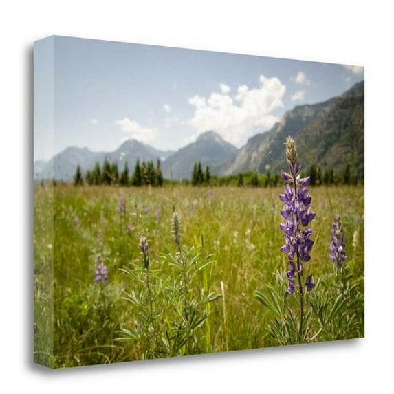 Tangletown Fine Art 'Glacier National Park' Photographic Print on Canvas