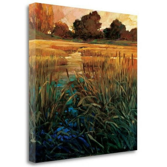 Tangletown Fine Art Golden Creek By Philip Craig, Gallery Wrap Canvas 20 x 20