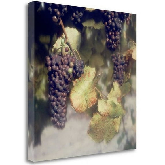 Tangletown Fine Art 'Grapes Color - 40' Photographic Print on Wrapped Canvas