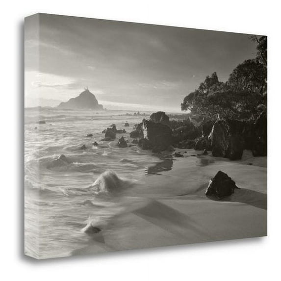 Tangletown Fine Art 'Hana Beach HawaII' Photographic Print on Wrapped Canvas