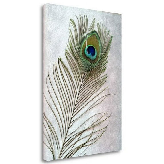 Tangletown Fine Art 'Hi Res' Graphic Art Print on Wrapped Canvas