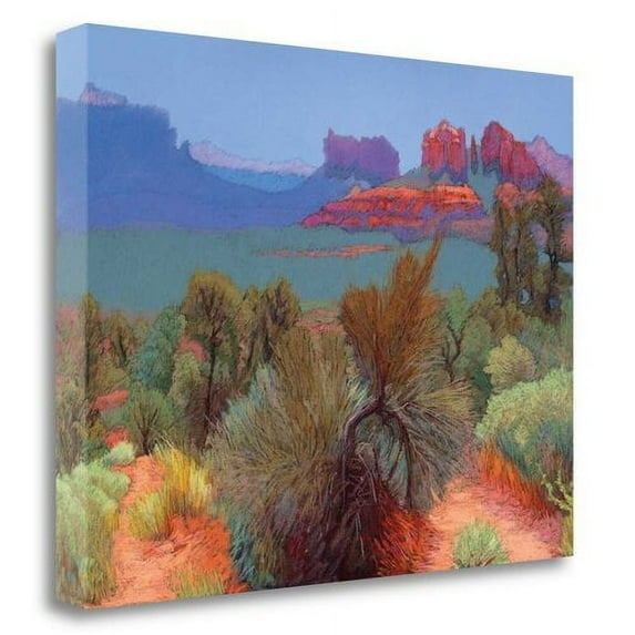 Tangletown Fine Art 'High Desert' Print on Wrapped Canvas