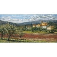 thumbnail image 1 of Tangletown Fine Art Hillside Olives By Malcolm Surridge,  Gallery Wrap Canvas 29 x 15, 1 of 3