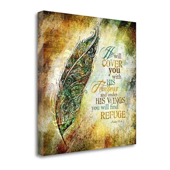 Tangletown Fine Art 'His Feathers' by Sally Barlow Graphic Art on Wrapped Canvas