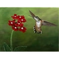 thumbnail image 1 of Tangletown Fine Art Hummer & Red Flowers by Julie Peterson Poster Frame - 21 x 29 x 1.5 in., 1 of 2