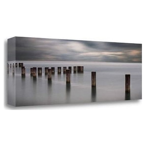 Tangletown Fine Art 'In Dreams II' Photographic Print on Wrapped Canvas