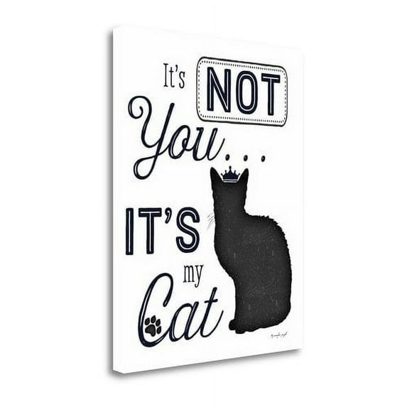Tangletown Fine Art 'It's Not You - It's My Cat' Textual Art on Canvas