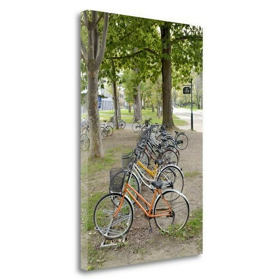 Tangletown Fine Art Japan Bicycle - 12 By Alan Blaustein, Gallery Wrap Canvas