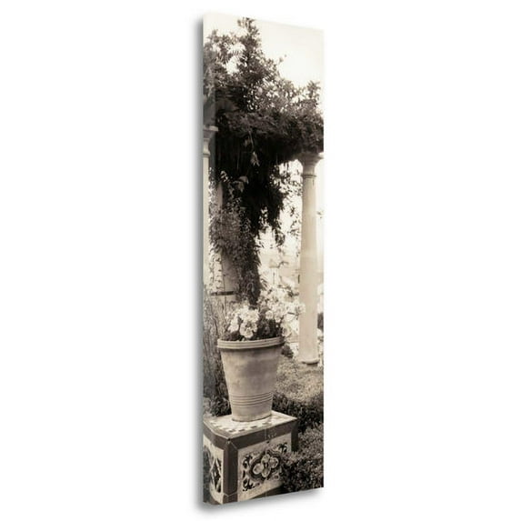 Tangletown Fine Art 'Jardin Botanico' Photographic Print on Wrapped Canvas