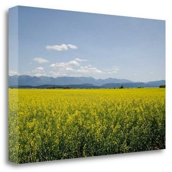 Tangletown Fine Art 'Kalispell, MT' Photographic Print on Canvas