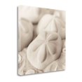 thumbnail image 1 of Tangletown Fine Art La Mer 4 by Alan Blaustein Poster Frame - 25 x 25 x 1.5 in., 1 of 2